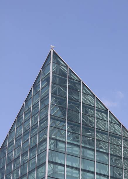 istock Seagull On The Peak Of A Glass Structure 896613788