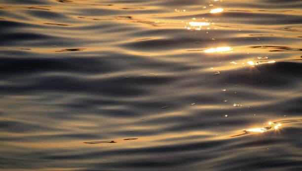 istock waves in the sunset close up 896639228