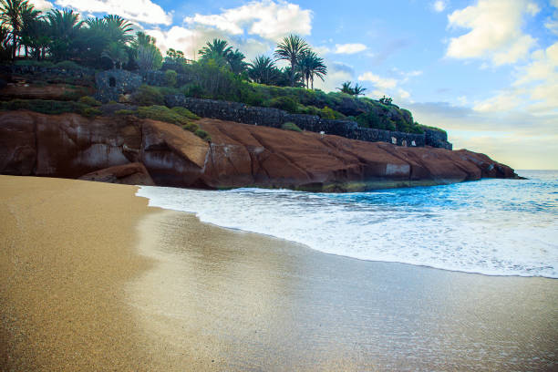 istock Beautiful beach with view on the ocean 896646408