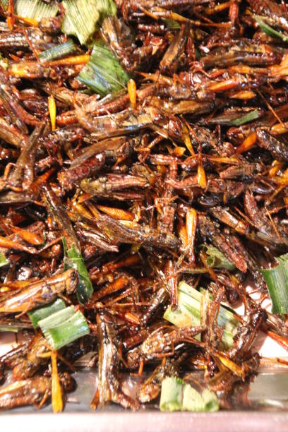 istock Fried insects on sale 896651918