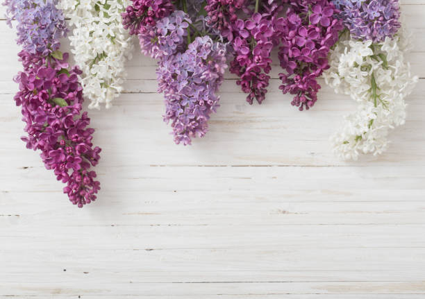 istock spring flowers on white wooden background 896690066