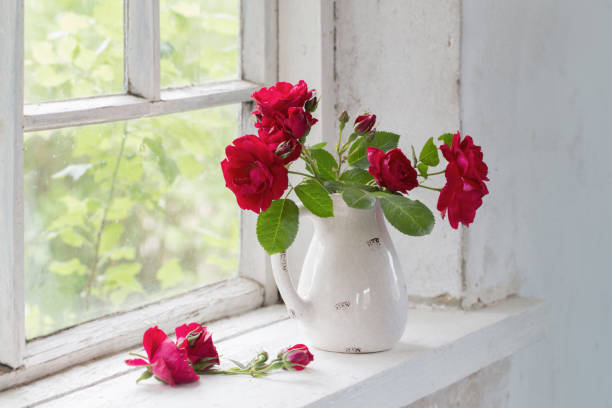 istock red roses in jug on winwowsill 896690068