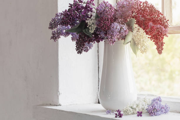 istock lilac in vase on windowsill 896690088