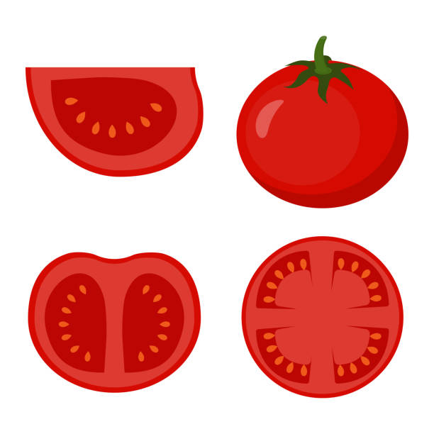 set with tomato set of red ripe tomatoes isolated on background, group of whole, slice, half of a tomato fruit tomato stock illustrations