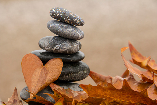 Heart Shape, Pebble, Stone - Object, Rock - Object, Backgrounds, Magnifier, autumn