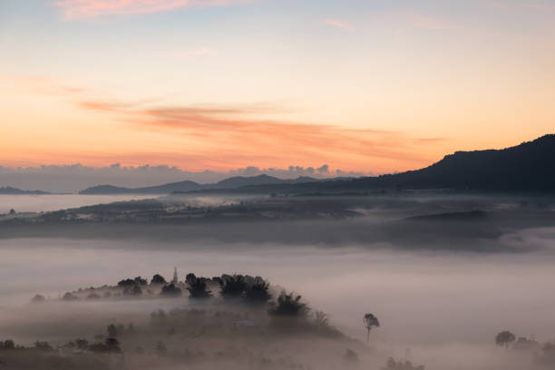 istock Mist, mountains, trees and sun rising in Thailand. 896712928