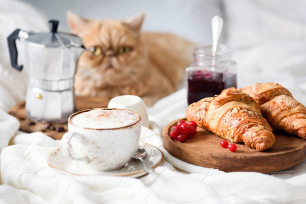 istock Breakfast in bed with croissants, coffee and jam. 896734040