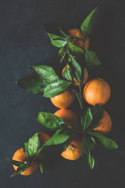 istock Tangerines with green leaves on dark background. Still life 896734082