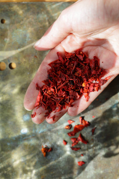 istock Red dried paprika on hand, seasoning 896745800