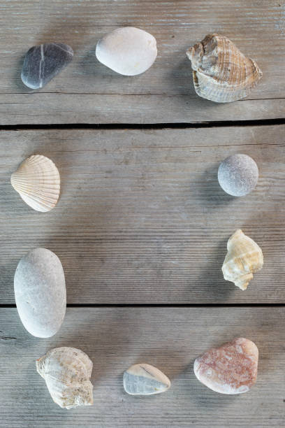 istock Wooden background with  pebble stones and seashells. 896749460