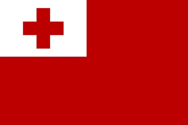 Vector illustration of Flag Tonga islands flat style