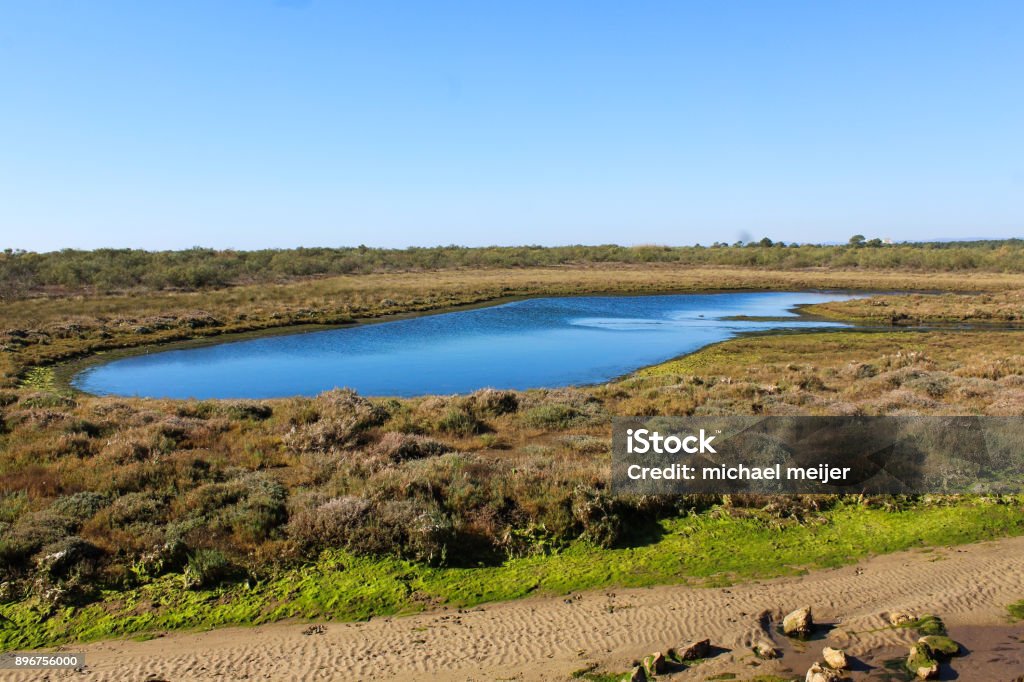 National swamp of Vila Real de Santo Antonio in porugal overview of National swamp of Vila Real de Santo Antonio in porugal Olhão Stock Photo