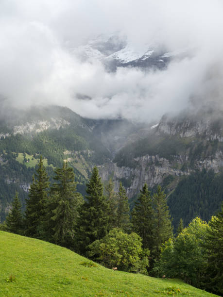 Mountains in Interlaken, Switzerland Mountains in Interlaken, Switzerland thun interlaken winter switzerland stock pictures, royalty-free photos & images