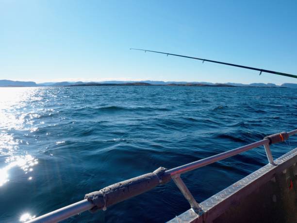istock Sparkling water surface and moving fishing rod 896768380