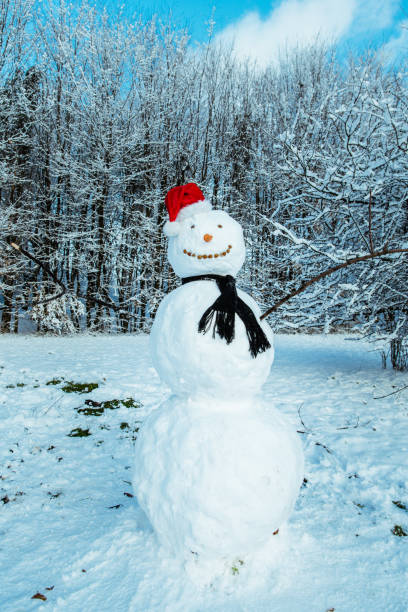 istock snow man in city park 896787440