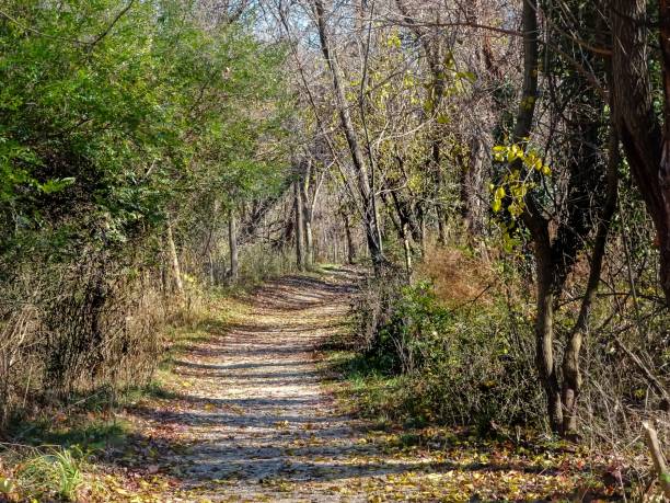istock winter in Rock Creek Park 896799638