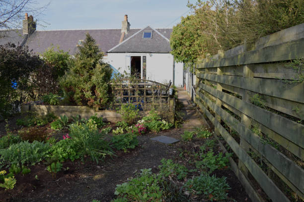 istock Scottish country garden in early Spring 896819926