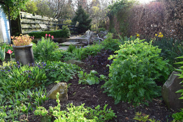 istock Scottish country garden in early Spring 896820240