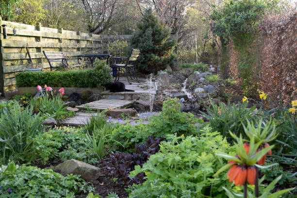 istock Scottish country garden in early Spring 896822630