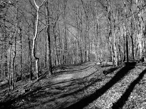istock winter in Rock Creek Park 896823076