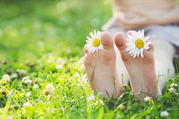 istock Child feet with daisy flower on green grass 896832290