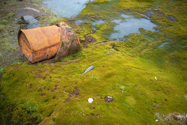 Rusted barrels on the shore, Chukotka, Russia