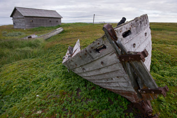 istock Boat on the shore, north, Russia 896845582