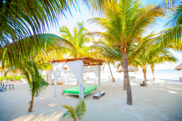 istock Paradise view of exotic tropical empty sandy beach with umbrellas and beach beds 896846196