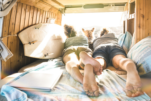 Hipster couple with cute dog traveling together on vintage van transport - Life inspiration concept with hippie people on minivan adventure trip watching sunset in relax moment - Warm sunshine filter