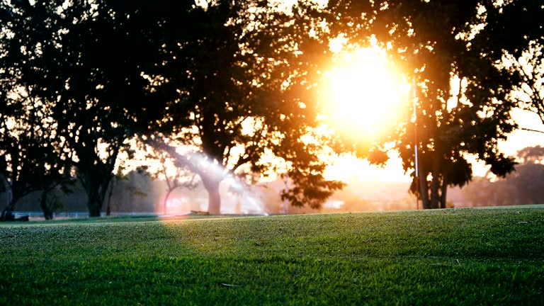 Sprinkler in watering green lawn of golf courses in the morning