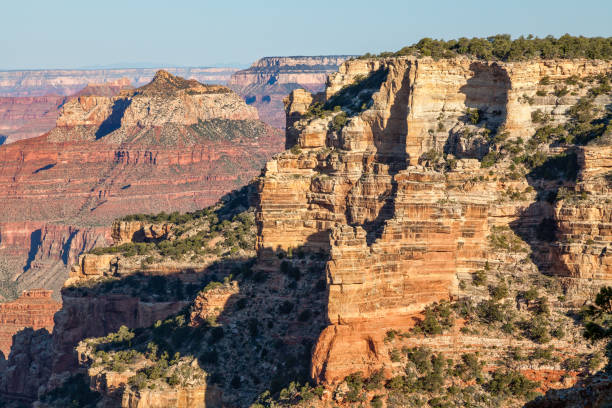 istock Grand Canyon North Rim Landscape 896906394