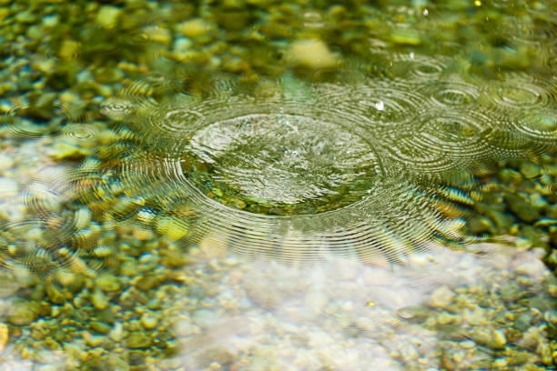 istock Circles on the smooth surface of the water on the river 896909950