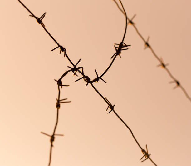 istock barbed wire against the sky at sunset 896916268