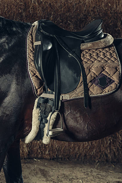 istock Saddle with stirrups on a back of a horse 896917006