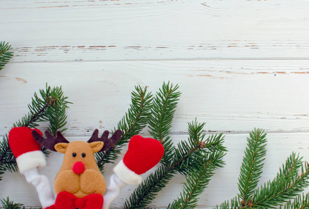 istock fir brunch, toy deer on white wooden background 896917026