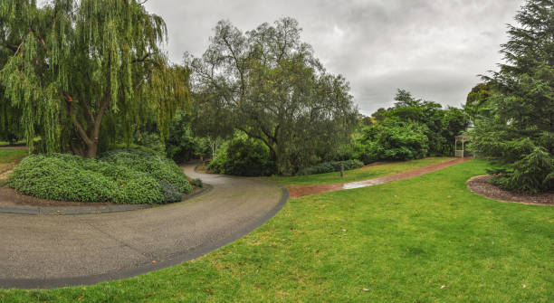 istock Rainy day in the Park Wilson. 896920234