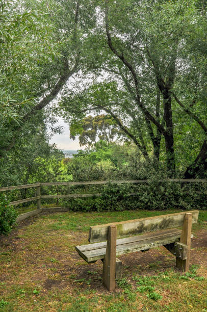 istock Rainy day in the Park Wilson. 896920246