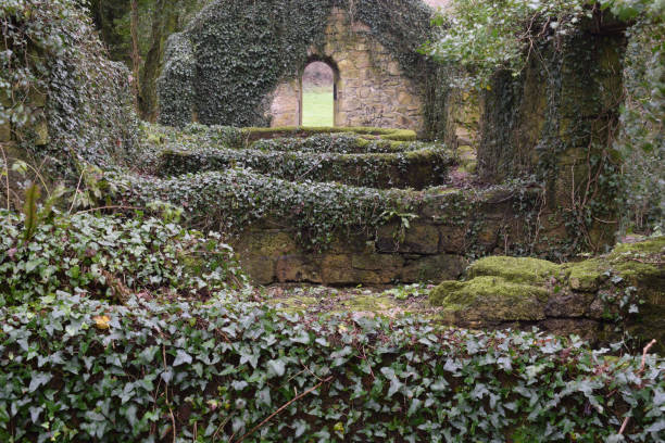 istock Tregargus Woods ruined china stone mill St Austell Cornwall 896929490