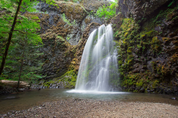 istock Fall Creek Falls in Oregon Near North Umpqua 896934222