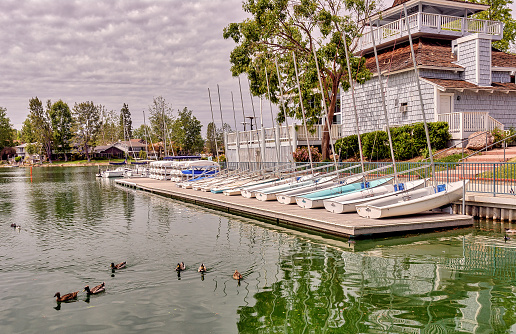 Ducks swimming and sailboats docked on Westlake Village Yacht Club in Southern California