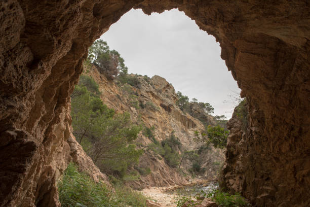 istock At the cala giverola on the Costa Brava, Girona 896963052