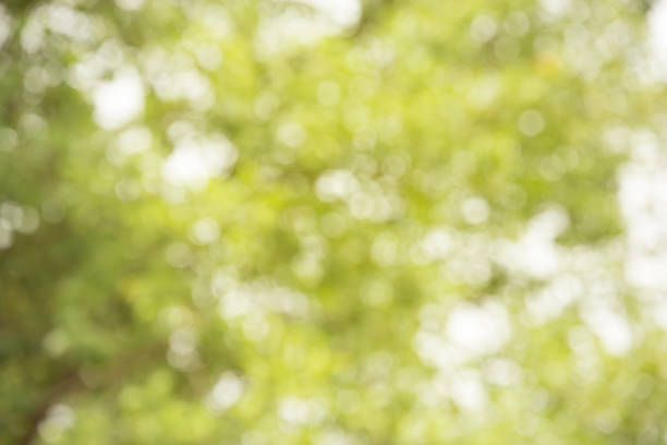 istock Abstract blur nature background.Ecology concept. 896968130