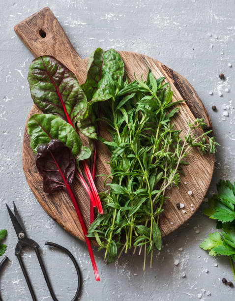 istock Fresh garden herbs - tarragon, chard, celery, thyme on a cutting board on a gray background, top view. Flat lay 896973032
