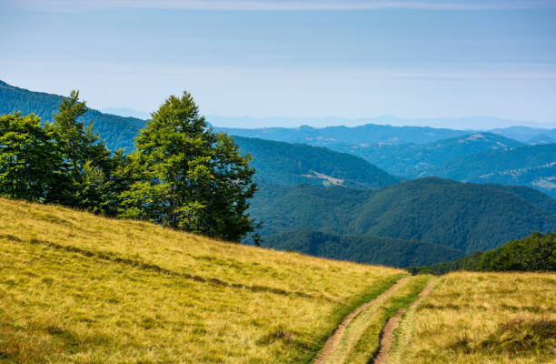 istock countryside road through grassy hill 896973164