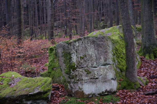 istock Ebersberger Felsenmeer, Germany 896975422