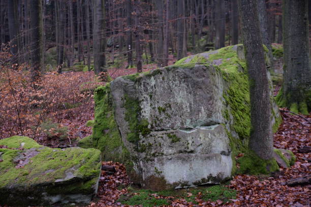 istock Ebersberger Felsenmeer, Germany 896975728