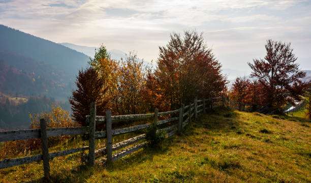 istock fence along the grassy hillside 896975960