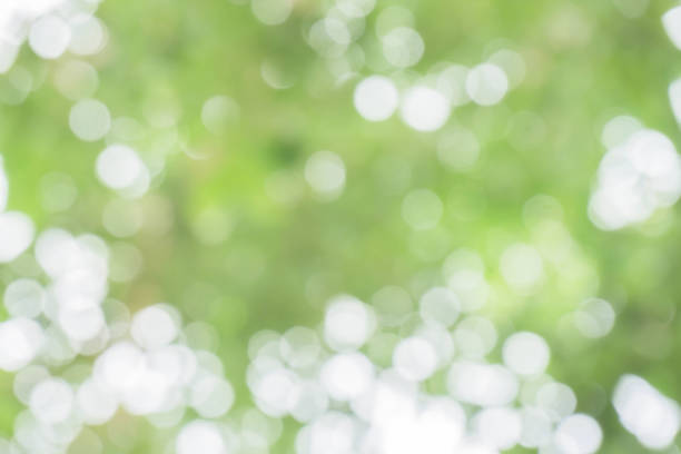 istock green bokeh / bokeh from tree / blurred tree / Blurred nature background / green and white background from tree in sun light. 896979372