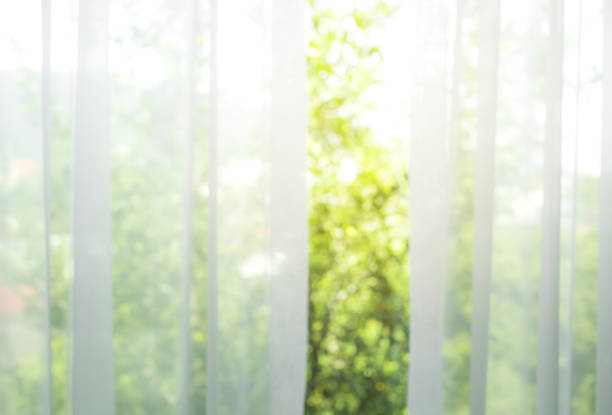 ウィンドウ ビューの白いカーテンのぼかし/庭の木