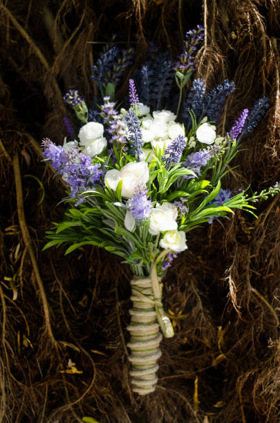 bouquet bouquet kompozisyon stock pictures, royalty-free photos & images